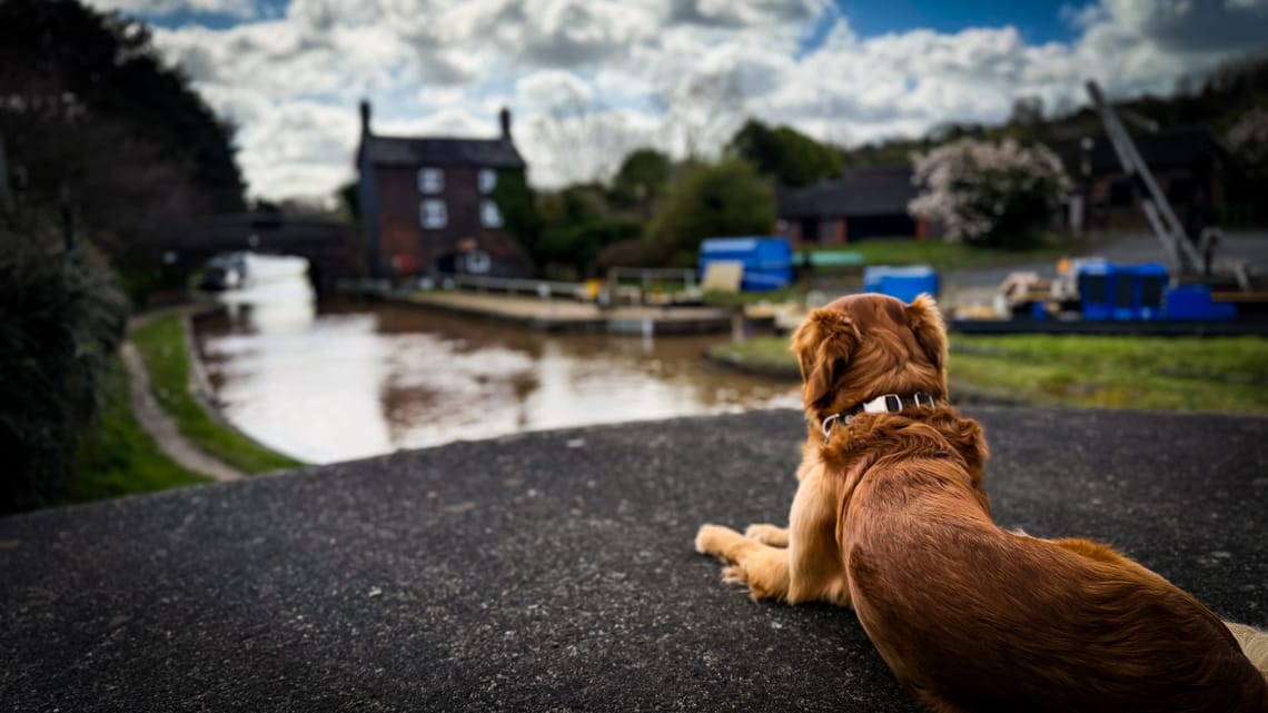 Finlay waiting for the boat