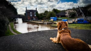 Finlay waiting for the boat