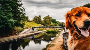 Finlay at Winson Green junction